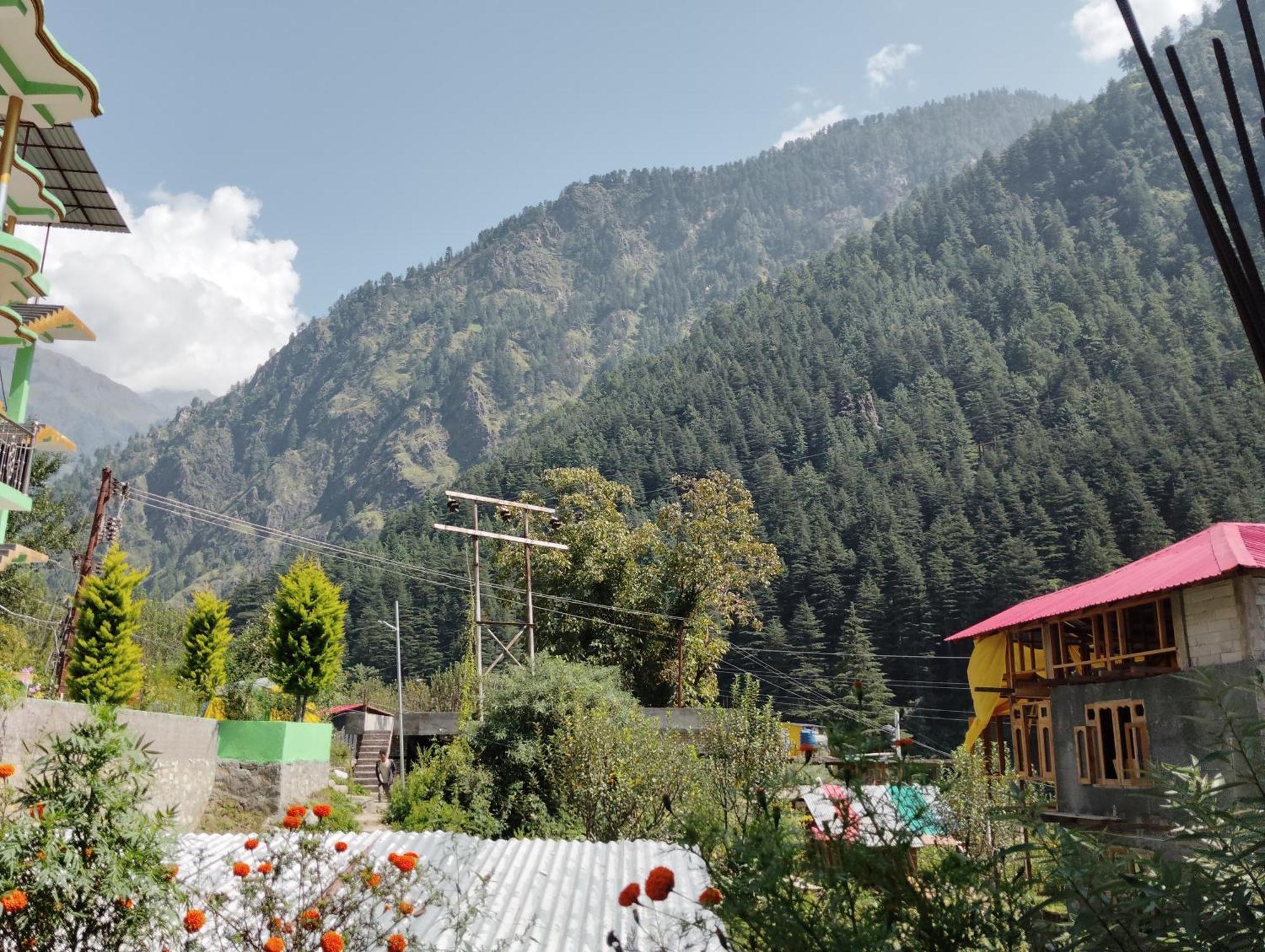 Dog N Hill Hotel Kasol Bagian luar foto
