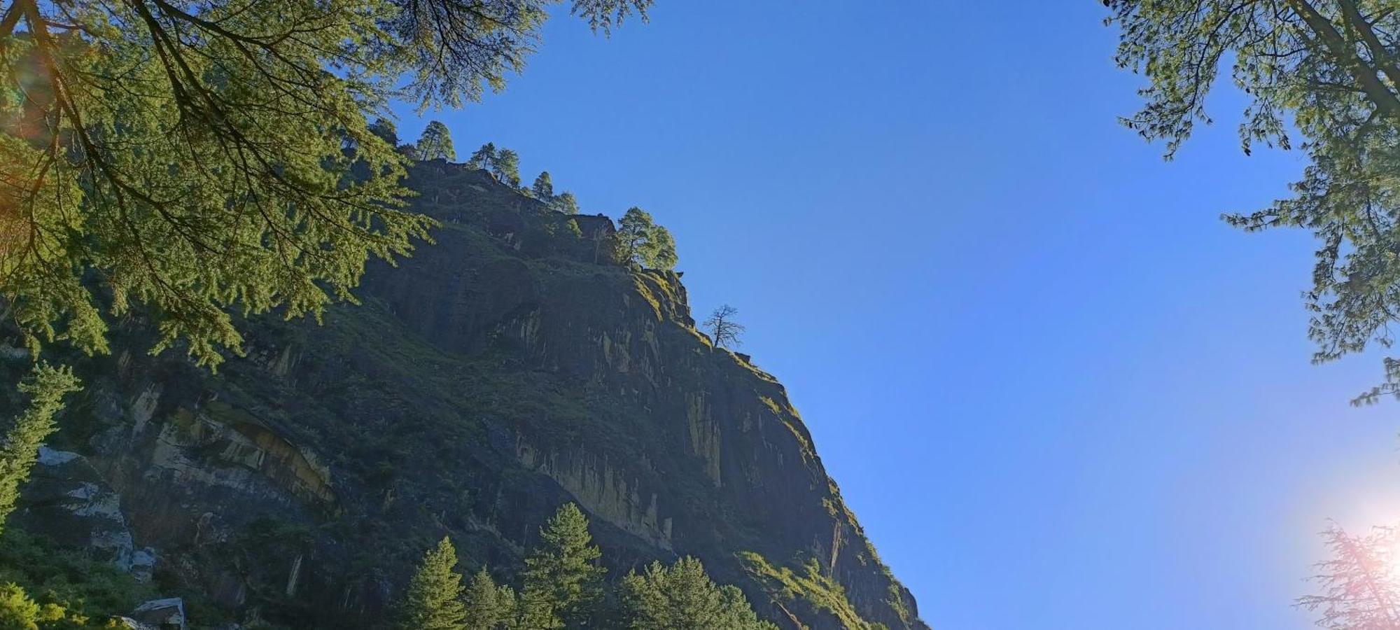 Dog N Hill Hotel Kasol Bagian luar foto