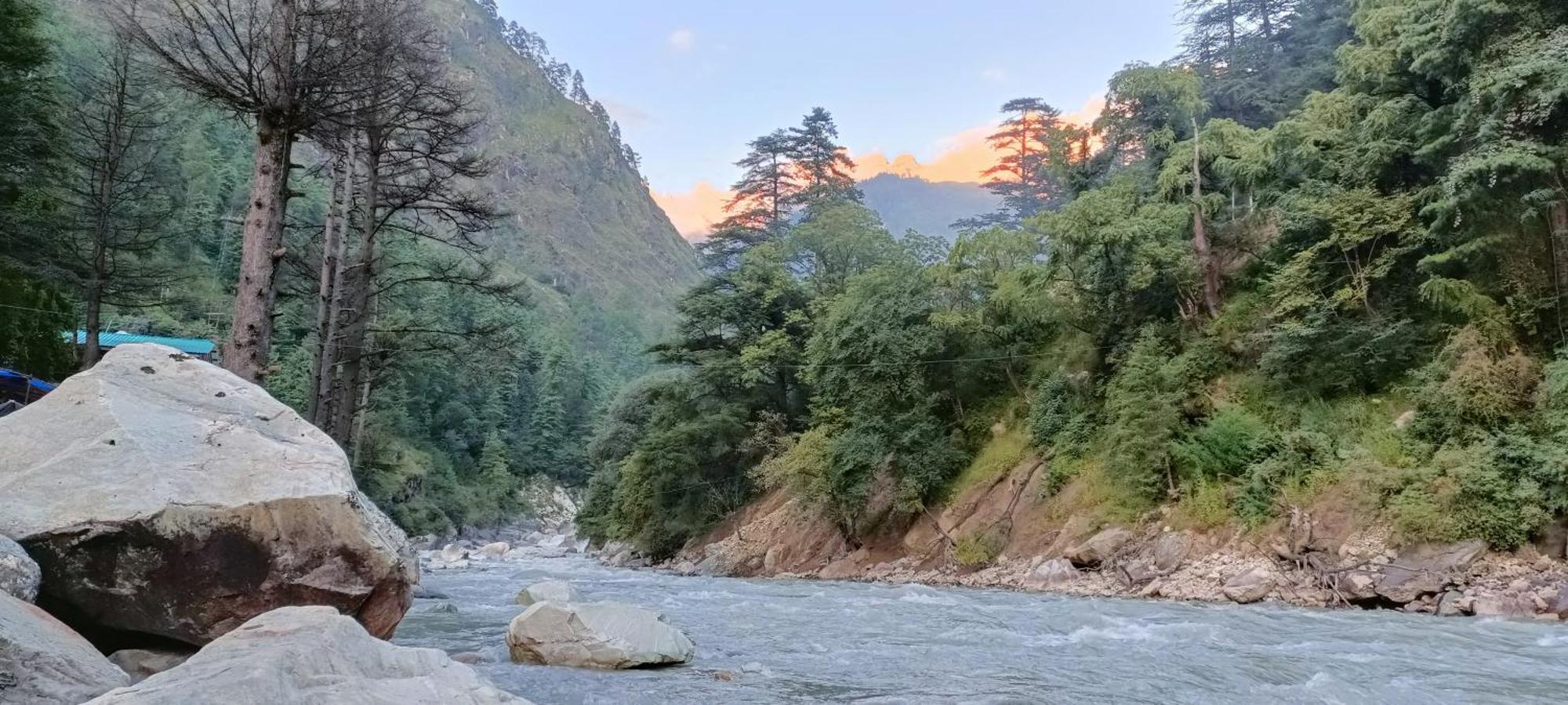 Dog N Hill Hotel Kasol Bagian luar foto