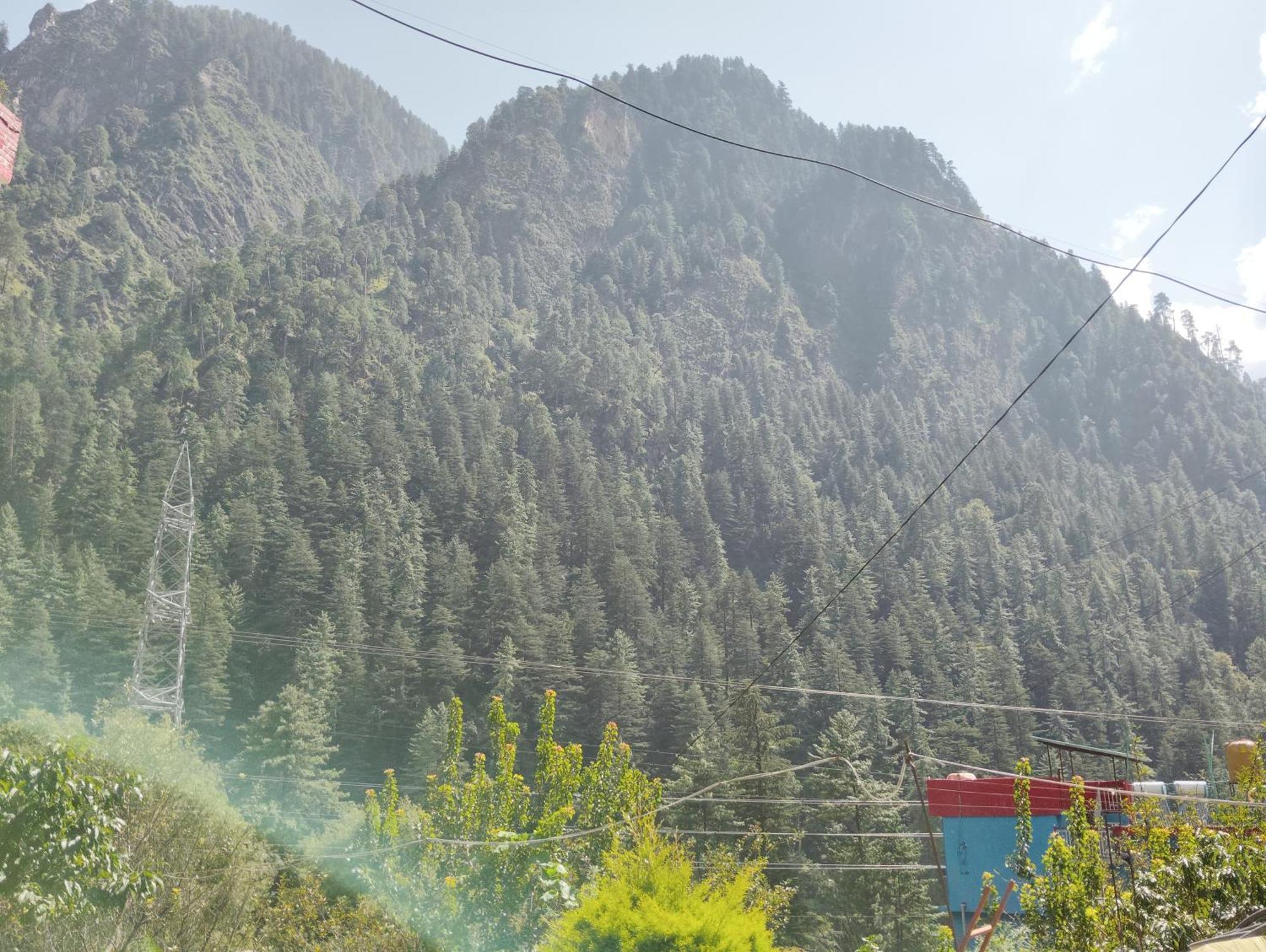 Dog N Hill Hotel Kasol Bagian luar foto